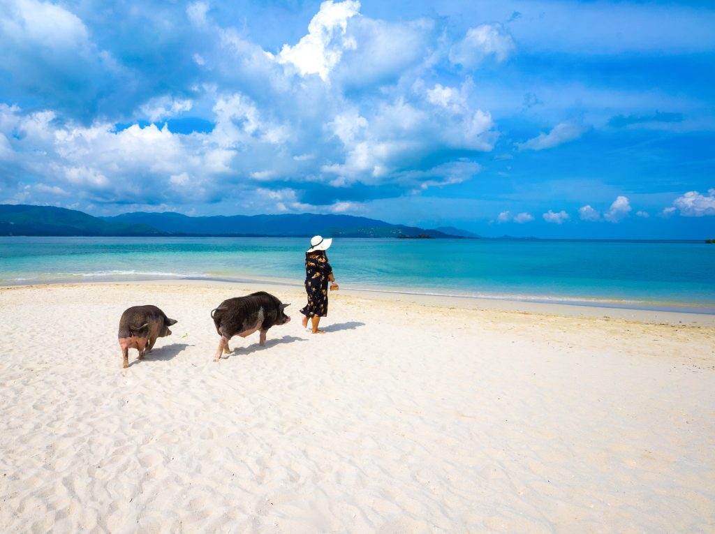 SAii Koh Samui Choengmon offers new Island Hopping Package that lets you discover two of Thailand’s Tropical Hidden Gems SAii Koh Samui Choengmon offers new Island Hopping Package that lets you discover two of Thailand’s Tropical Hidden Gems - Alvinology