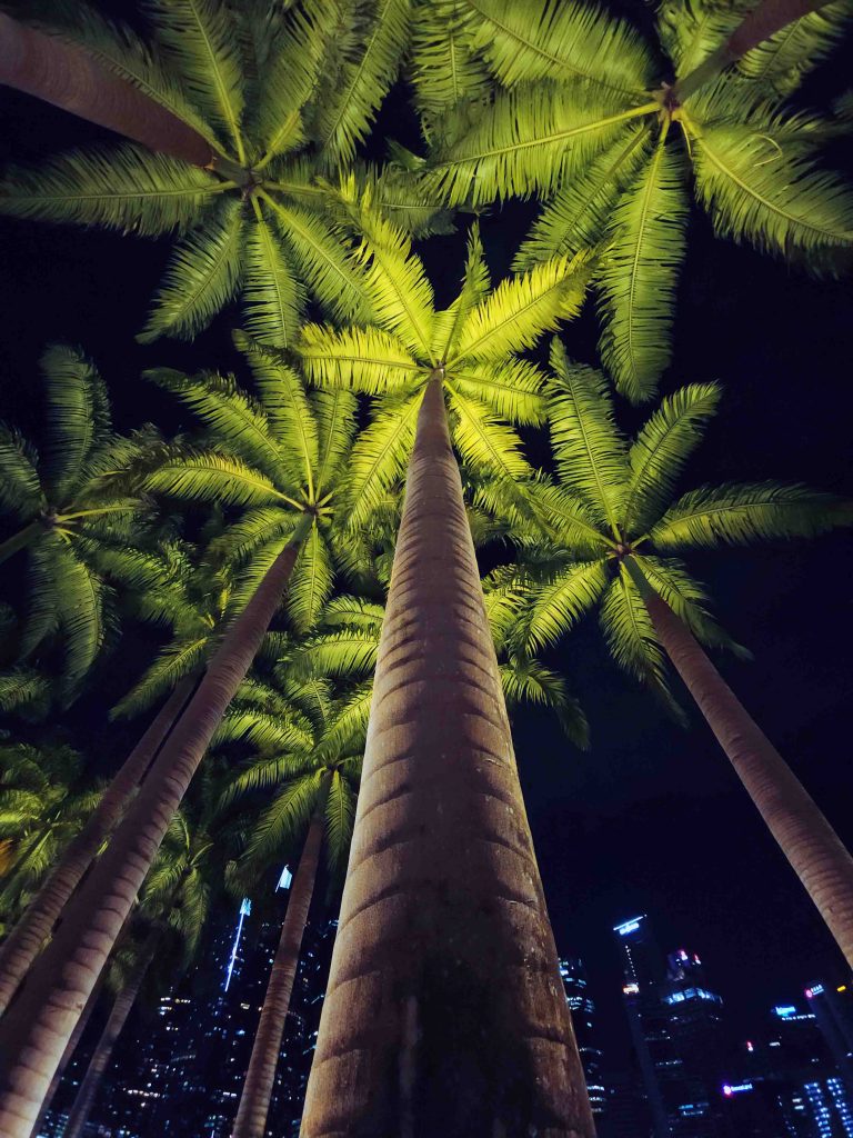 Samsung invites photo enthusiasts to take creative shots and enjoy Spectacular Nights at Sleepless in SG - Alvinology