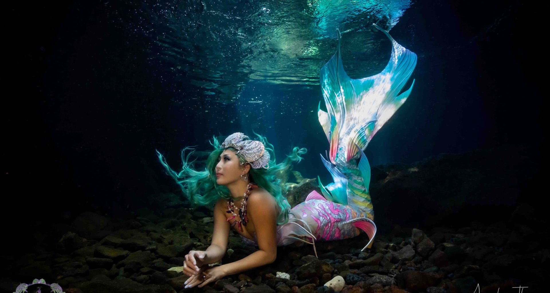 [PROMO CODE INSIDE] Witness Singapore’s first mermaid – Syrena as she dives into the Magical World of Mermaid Tales at Wild Wild Wet! - Alvinology