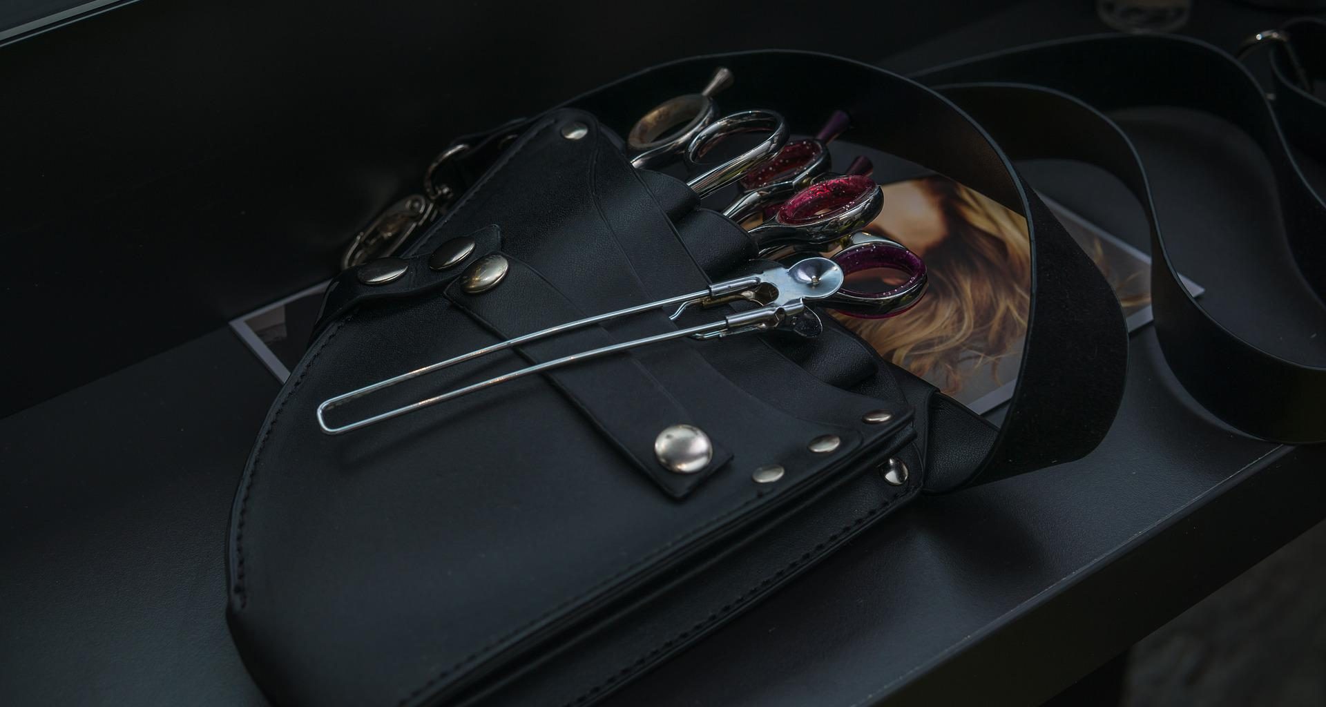 A Super Useful Tips - How To Decide Which Shears are the Right Choice For You? - Alvinology