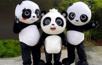 Giant Panda cub ‘Le Le’ showcases new repertoire of skills on his first birthday Giant Panda cub ‘Le Le’ showcases new repertoire of skills on his first birthday - Alvinology