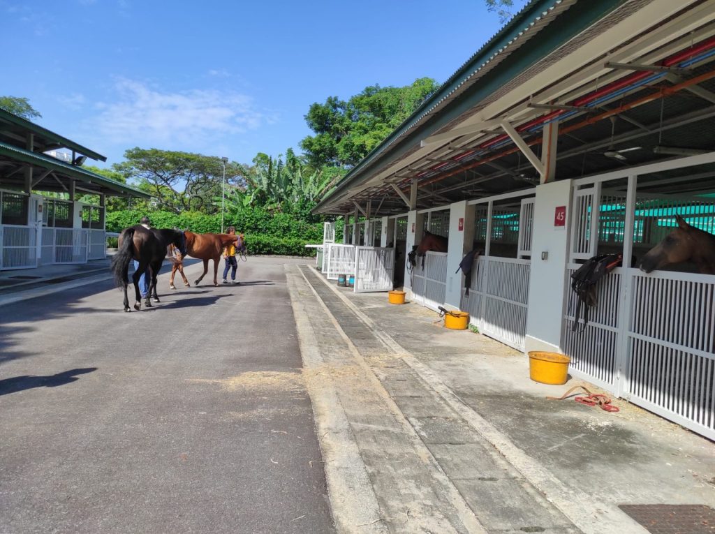Singapore Turf Club Riding Centre welcomes Colts Polo & Riding offering more fun experience and services - Alvinology