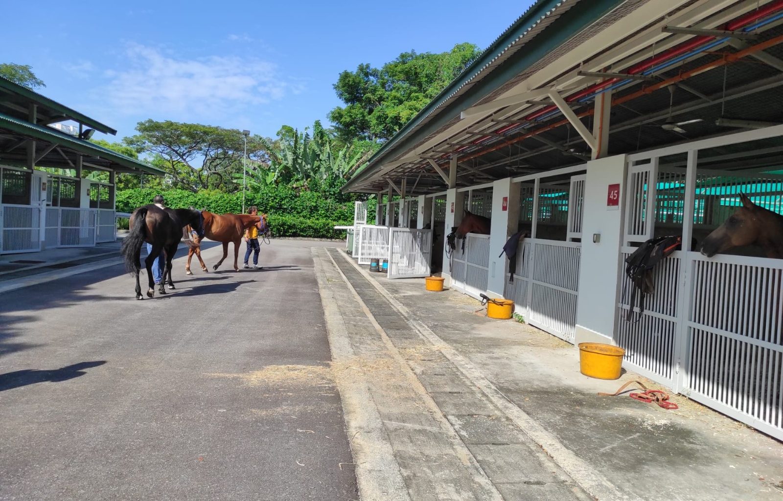Singapore Turf Club Riding Centre welcomes Colts Polo & Riding offering more fun experience and services - Alvinology