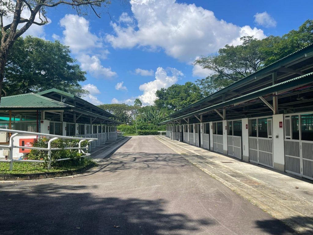 Singapore Turf Club Riding Centre welcomes Colts Polo & Riding offering more fun experience and services Singapore Turf Club Riding Centre welcomes Colts Polo & Riding offering more fun experience and services - Alvinology