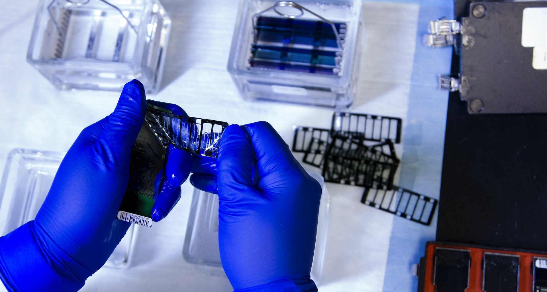 How Co-Working Labs Are Changing the Landscape of Singapore's Biotech Industry - Alvinology