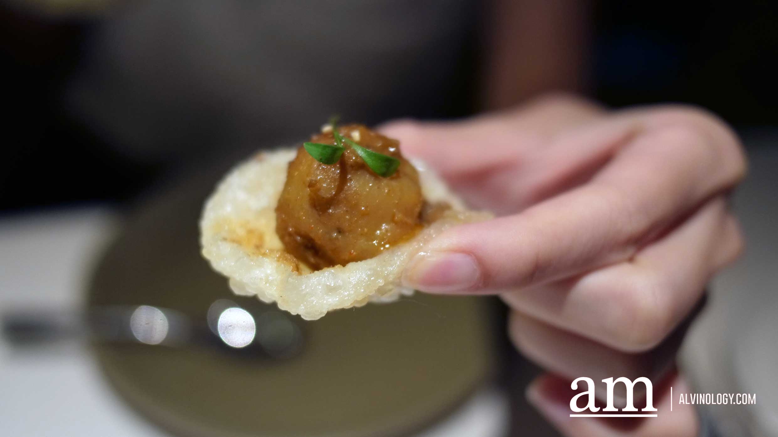 [Review] Indian fine-dining at Yantra in Tanglin Mall with an Exclusively Curated Menu by an Indian Culinary Historian - Alvinology
