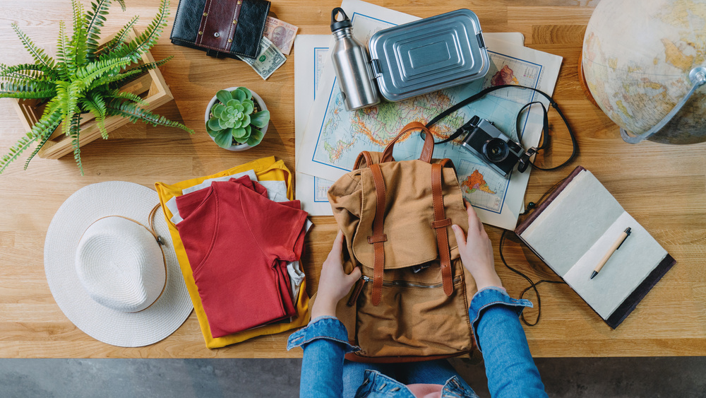 8 Essentials You Should Never Forget When Traveling For The First Time - Alvinology
