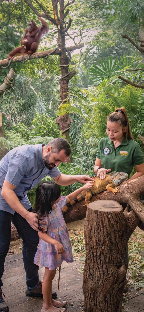 Singapore Zoo’s signature Breakfast in the Wild is back! Tuck into a delectable buffet spread and interact with different animal species - Alvinology