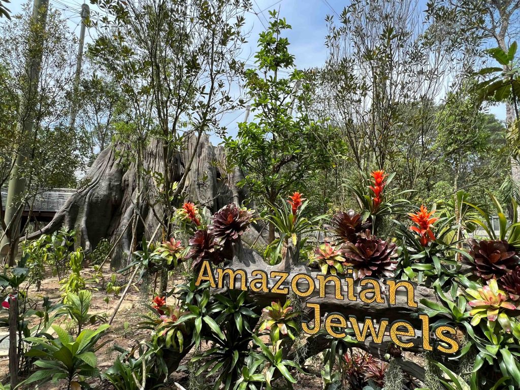 A new Bird Park to open in Singapore in 2023 featuring 10 zones and home to 3,500 birds from over 400 avian species! - Alvinology