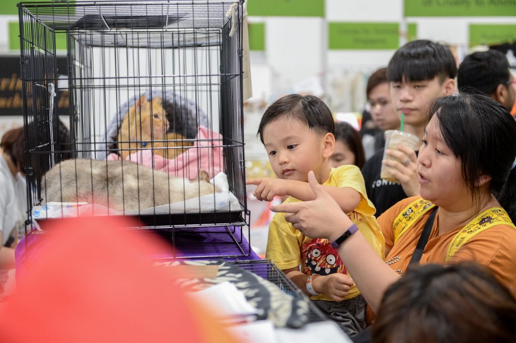 PetExpo is finally back after a 2-year hiatus; pawrents can find the best deals from over 100 brands from 80 exhibitors - Alvinology