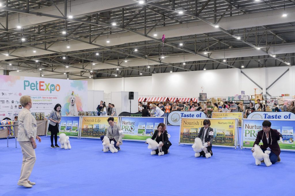 PetExpo is finally back after a 2-year hiatus; pawrents can find the best deals from over 100 brands from 80 exhibitors - Alvinology