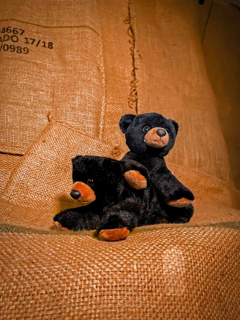 Mandai Wildlife Group x Huggs Coffee introduces Sustainable Collection featuring the adorable Malayan Sun Bear Mandai Wildlife Group x Huggs Coffee introduces Sustainable Collection featuring the adorable Malayan Sun Bear - Alvinology