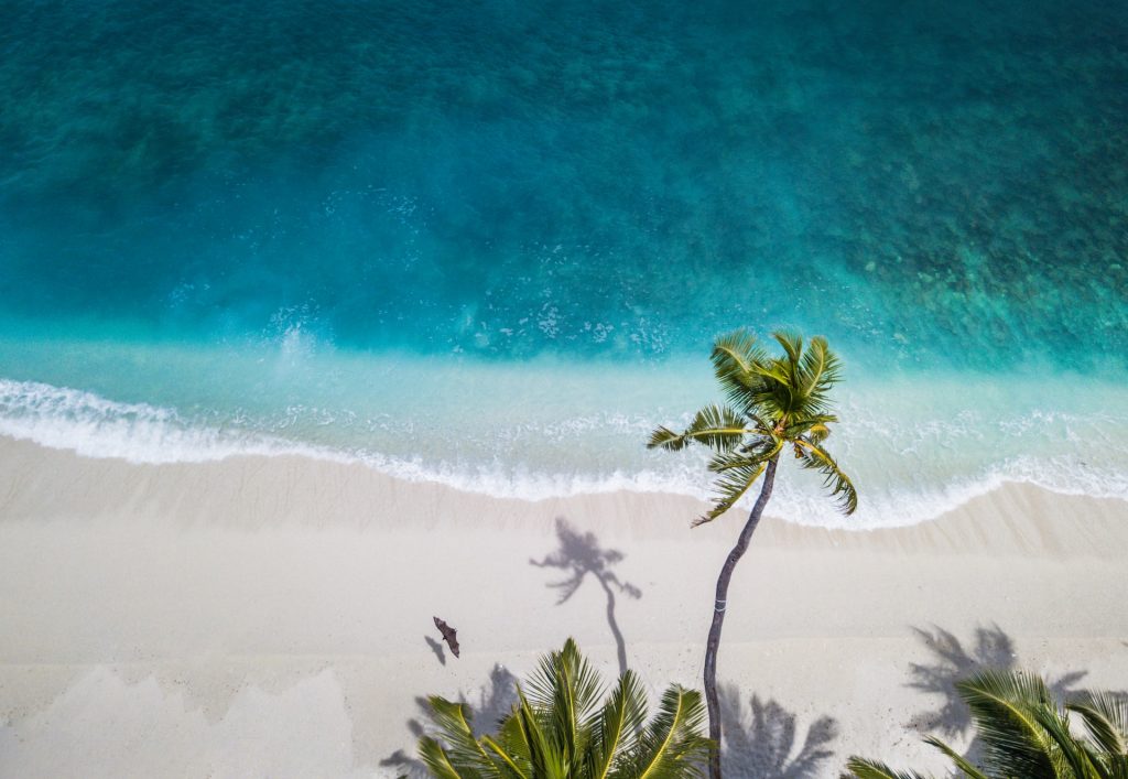 Best Beaches to Visit in 2023 - Alvinology