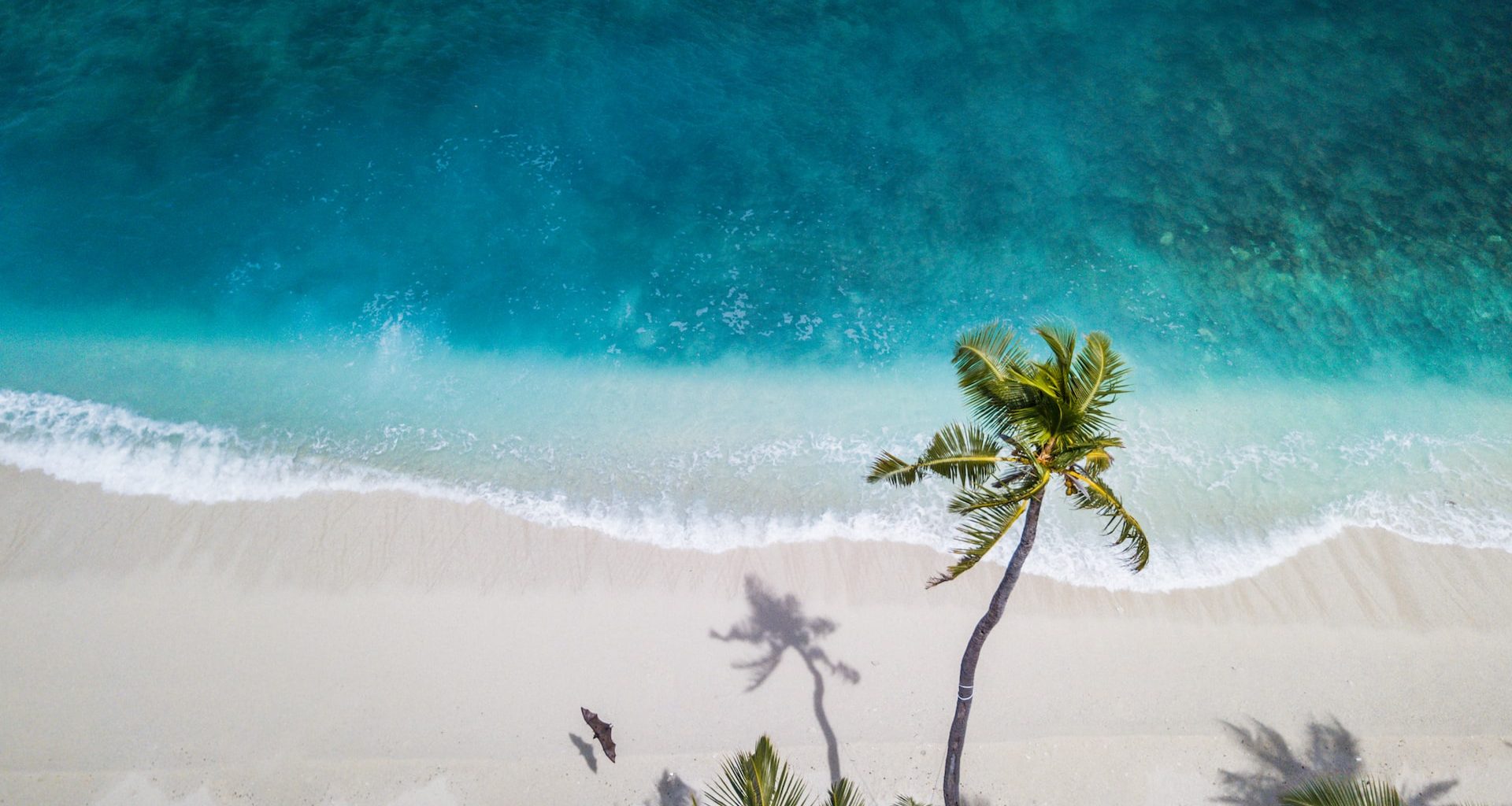 Best Beaches to Visit in 2023 - Alvinology