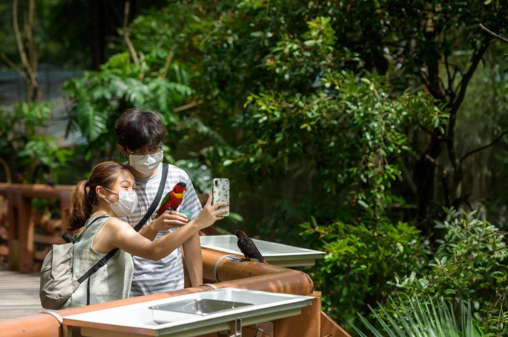 Jurong Bird Park ticket is now only $10! Last hurrah before its final day of operations on 3 January 2023 - Alvinology