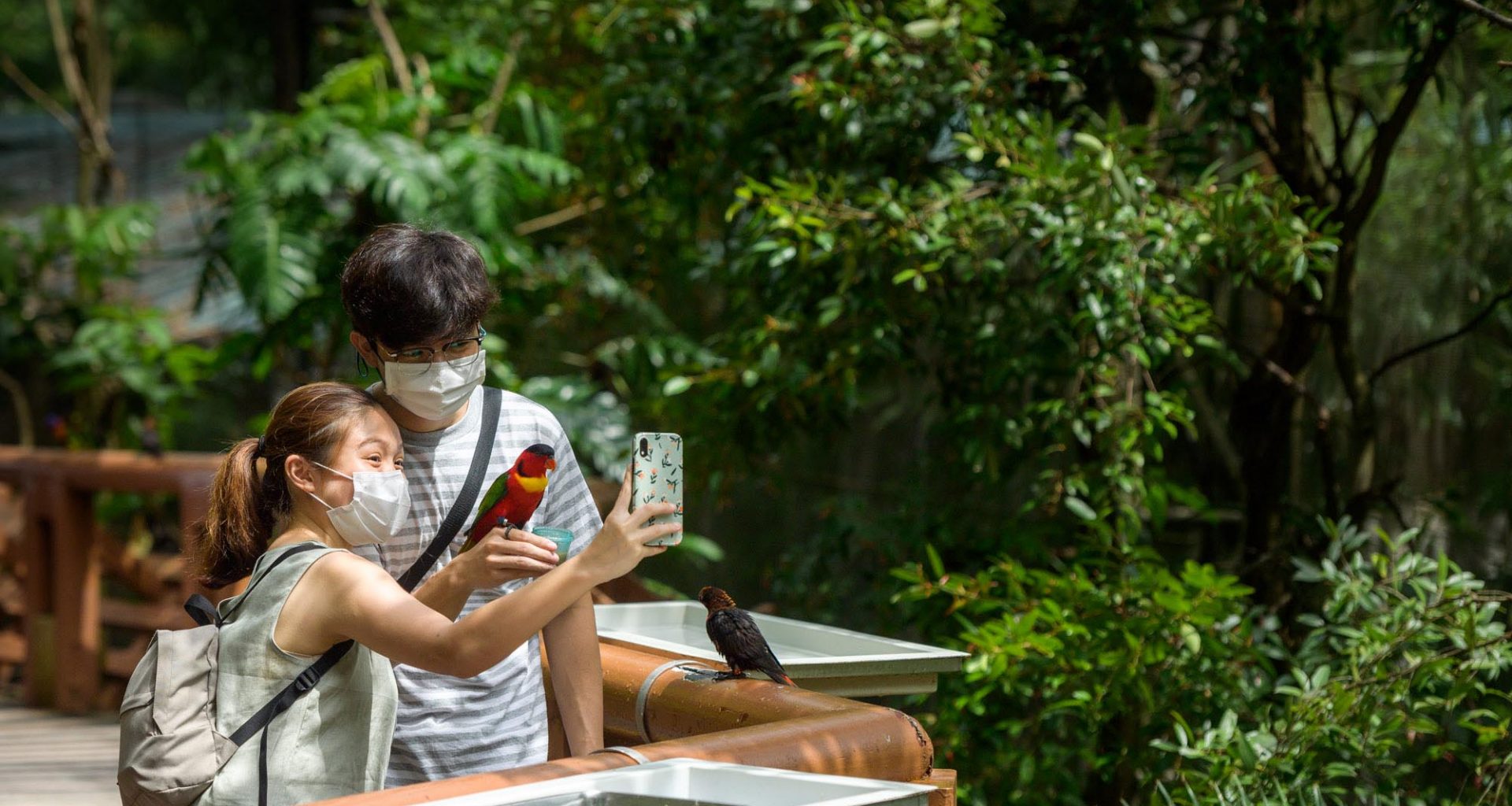 Jurong Bird Park ticket is now only $10! Last hurrah before its final day of operations on 3 January 2023 - Alvinology