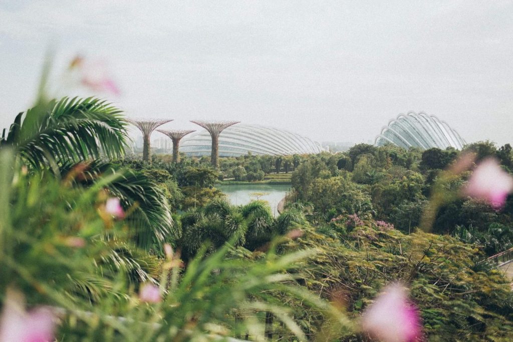 Remote Destinations: Most Stunning 6 Spots in Singapore - Alvinology
