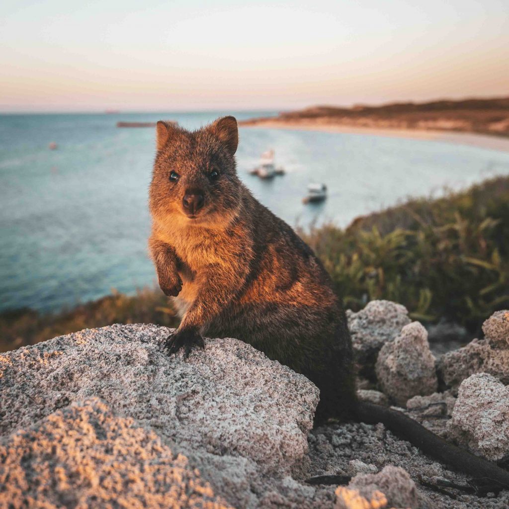 10 Reasons why Singaporeans are choosing Western Australia over other destinations - Alvinology