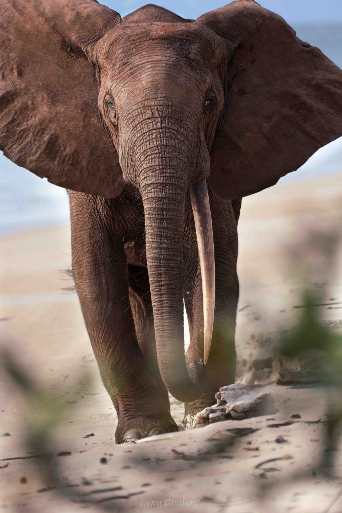 Gabon of Central Africa truly is the “The Last Eden” on Earth and here are photos to prove it Gabon of Central Africa truly is the “The Last Eden” on Earth and here are photos to prove it - Alvinology