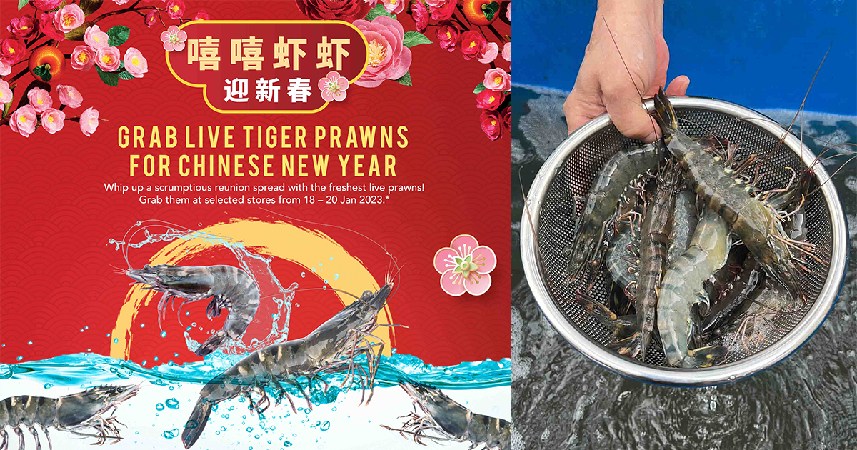 FairPrice is now selling Live Tiger Prawns for only $19.90/kg! Hurry limited stocks only! - Alvinology
