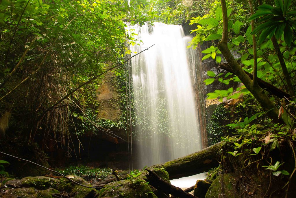 Gabon of Central Africa truly is the “The Last Eden” on Earth and here are photos to prove it Gabon of Central Africa truly is the “The Last Eden” on Earth and here are photos to prove it - Alvinology