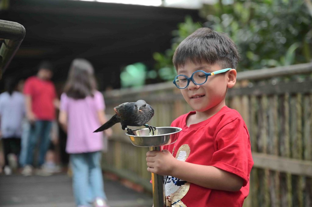 8 Photos to Remember Jurong Bird Park by as it finally shuts its doors on 3 January 2023 - Alvinology