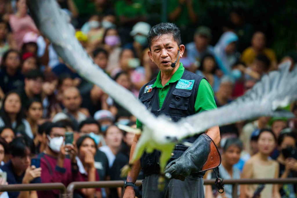 8 Photos to Remember Jurong Bird Park by as it finally shuts its doors on 3 January 2023 - Alvinology