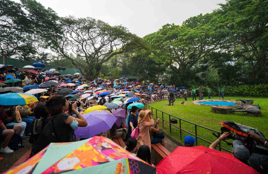 8 Photos to Remember Jurong Bird Park by as it finally shuts its doors on 3 January 2023 - Alvinology