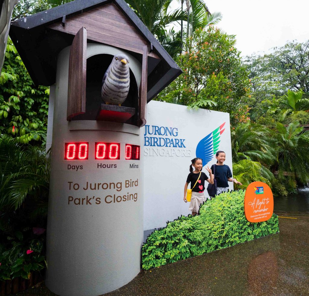 8 Photos to Remember Jurong Bird Park by as it finally shuts its doors on 3 January 2023 - Alvinology