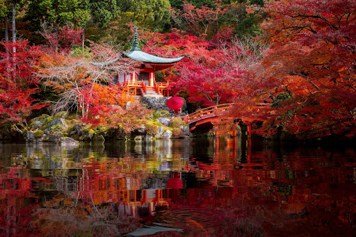 Top Destinations Around the World that will colour your 2023 with the lucky shade of Viva Magenta - Scott Dunn - Alvinology