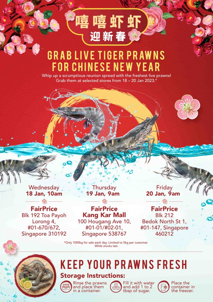 FairPrice is now selling Live Tiger Prawns for only $19.90/kg! Hurry limited stocks only! FairPrice is now selling Live Tiger Prawns for only $19.90/kg! Hurry limited stocks only! - Alvinology
