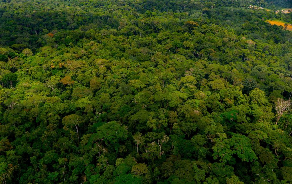 Gabon of Central Africa truly is the “The Last Eden” on Earth and here are photos to prove it Gabon of Central Africa truly is the “The Last Eden” on Earth and here are photos to prove it - Alvinology