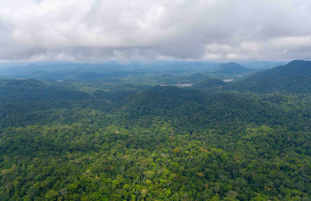 Gabon of Central Africa truly is the “The Last Eden” on Earth and here are photos to prove it Gabon of Central Africa truly is the “The Last Eden” on Earth and here are photos to prove it - Alvinology
