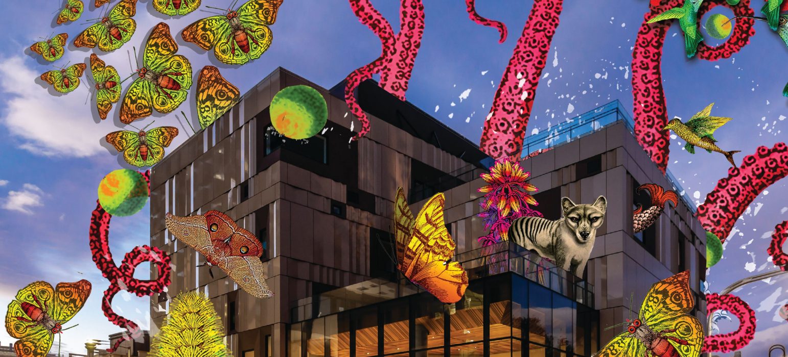 Explore Australia and immerse yourself in these upcoming festivals all happening this March 2023! - Alvinology