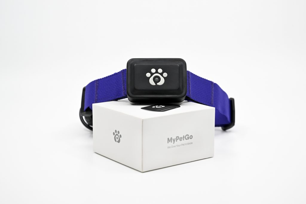 You can now ‘Speak’ with Your Pet with this new Wearable SuperApp for Pets - MyPetGo - Alvinology