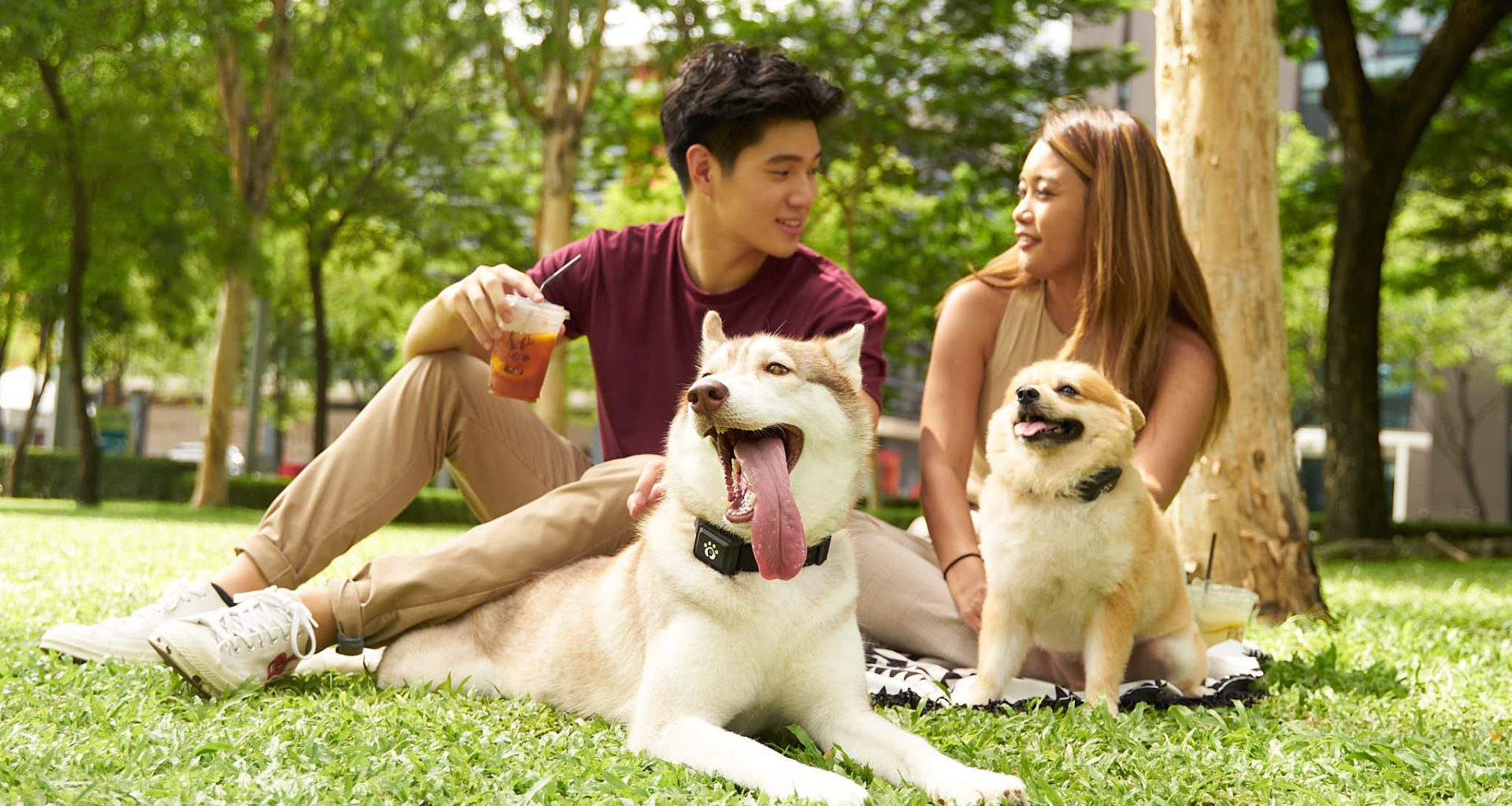You can now ‘Speak’ with Your Pet with this new Wearable SuperApp for Pets - MyPetGo - Alvinology