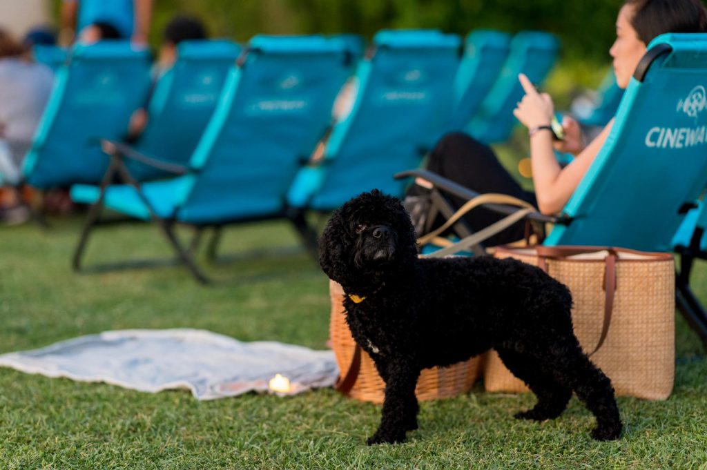 Enjoy Romantic Classics under the stars this Valentine’s Day at the Outdoor Movie Screening at Keppel Bay by Love, Bonito - Alvinology
