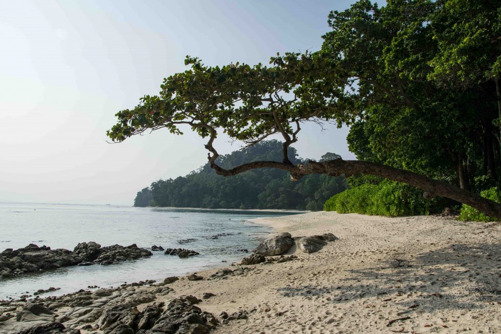 The Best of the Best Beaches in the World according to the 2023 Travelers’ Choice Awards – Tripadvisor The Best of the Best Beaches in the World according to the 2023 Travelers’ Choice Awards – Tripadvisor - Alvinology