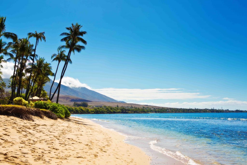 The Best of the Best Beaches in the World according to the 2023 Travelers’ Choice Awards – Tripadvisor The Best of the Best Beaches in the World according to the 2023 Travelers’ Choice Awards – Tripadvisor - Alvinology