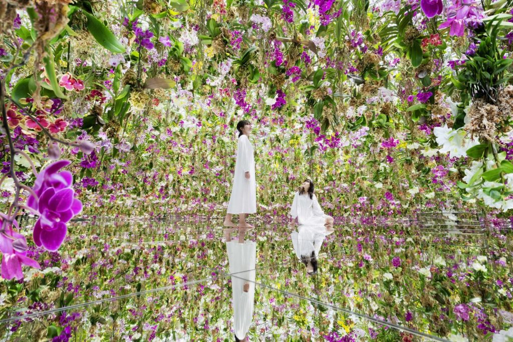 Tokyo Must-go! Experience Dazzling Dreamscapes at this Immersive Museum- teamLab Planets TOKYO in Toyosu, Tokyo - Alvinology