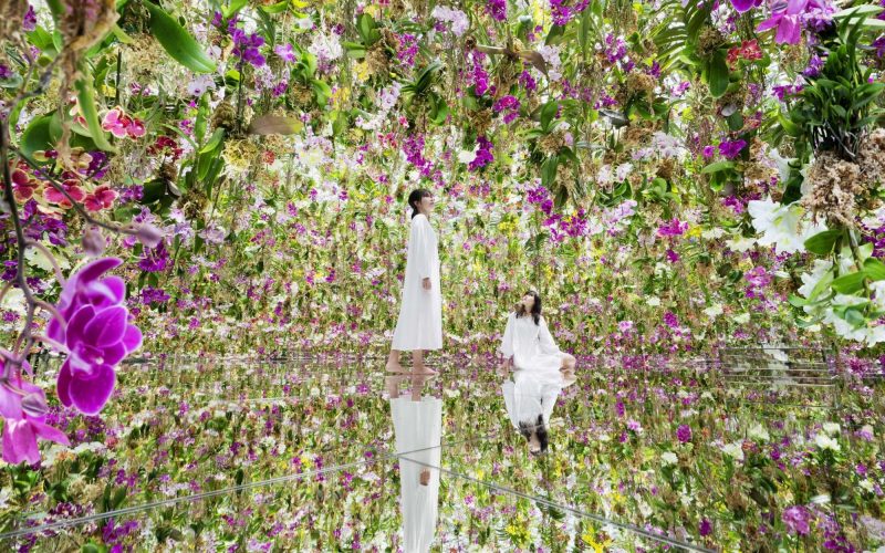 Tokyo Must-go! Experience Dazzling Dreamscapes at this Immersive Museum- teamLab Planets TOKYO in Toyosu, Tokyo - Alvinology