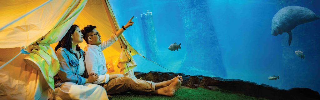 Unwind and drift to sleep in a luxurious air-conditioned glamping tent at Singapore Zoo this April - Alvinology
