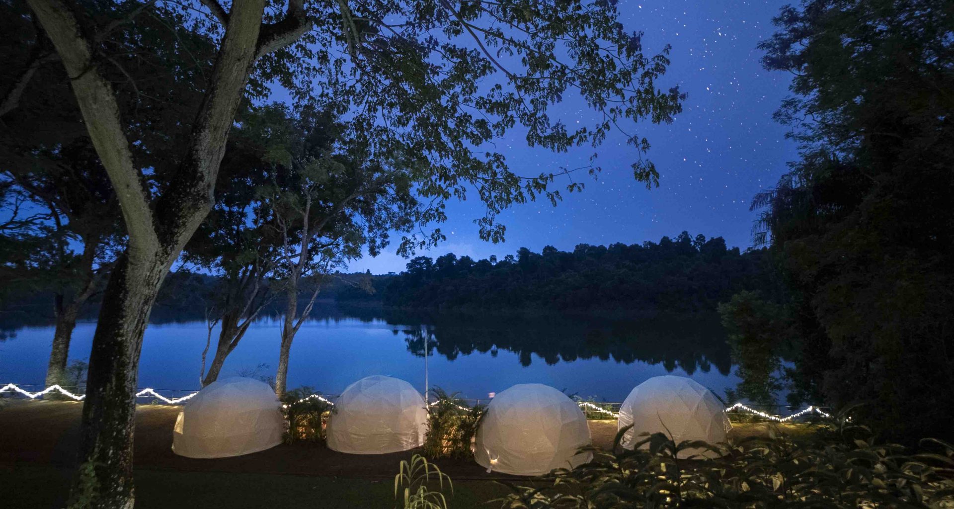 Unwind and drift to sleep in a luxurious air-conditioned glamping tent at Singapore Zoo this April - Alvinology