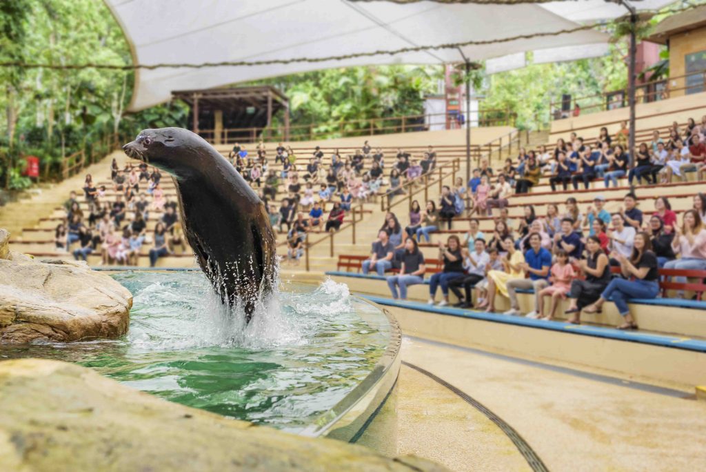 Unwind and drift to sleep in a luxurious air-conditioned glamping tent at Singapore Zoo this April - Alvinology