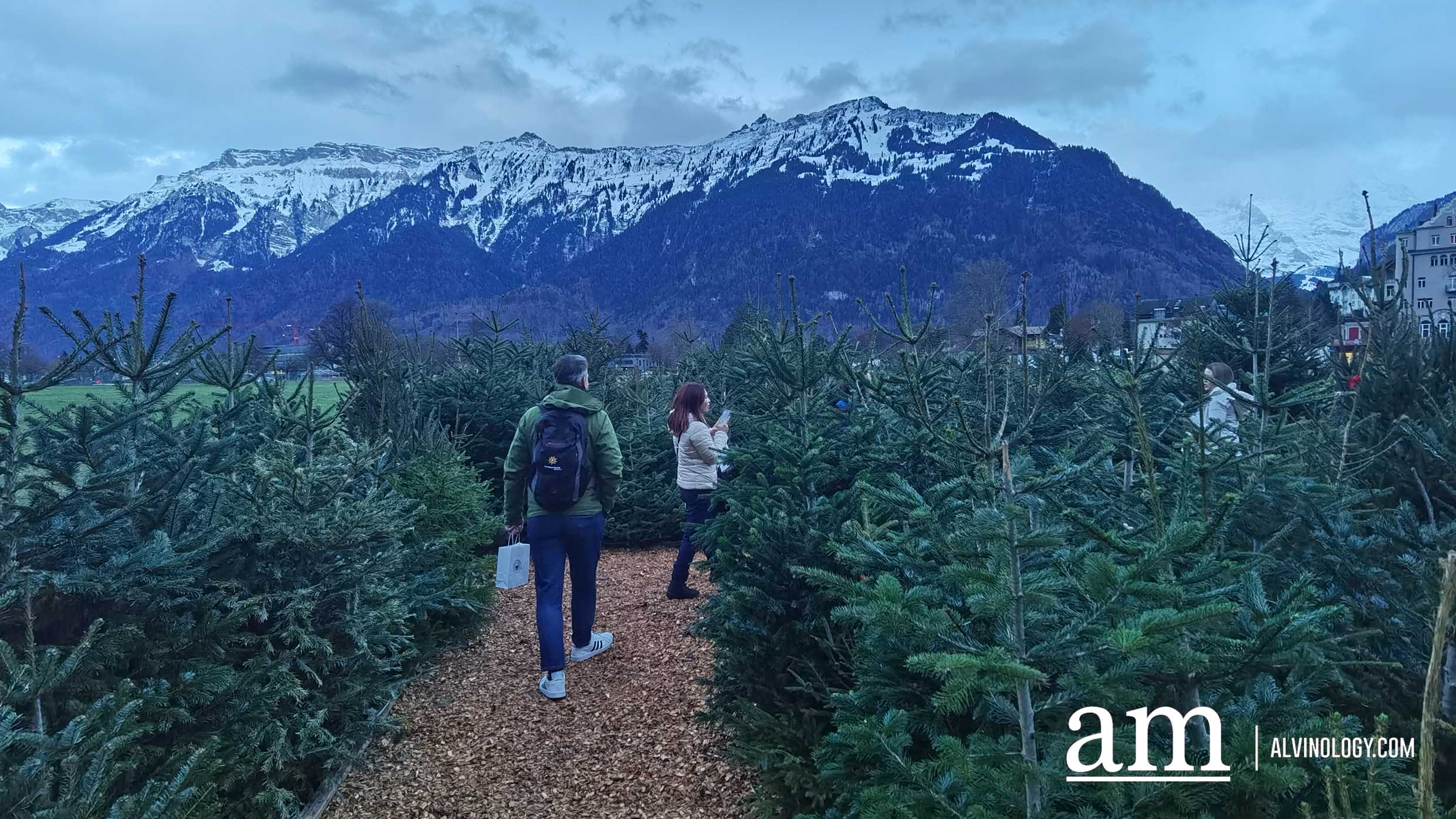 6 Reasons to Visit Interlaken and Jungfrau, Top of Europe, in Switzerland for a Winter Holiday - Alvinology