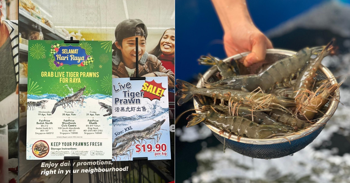 [PROMO] $19.90/kg LIVE Tiger Prawns is back at FairPrice just in time for your Raya feast! - Alvinology