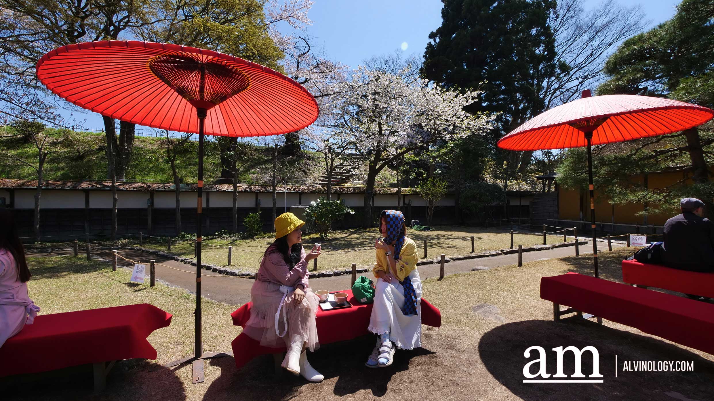 Tohoku, Japan: A Checklist of Hidden Gems to Visit During Cherry Blossom Season Tohoku, Japan: A Checklist of Hidden Gems to Visit During Cherry Blossom Season - Alvinology