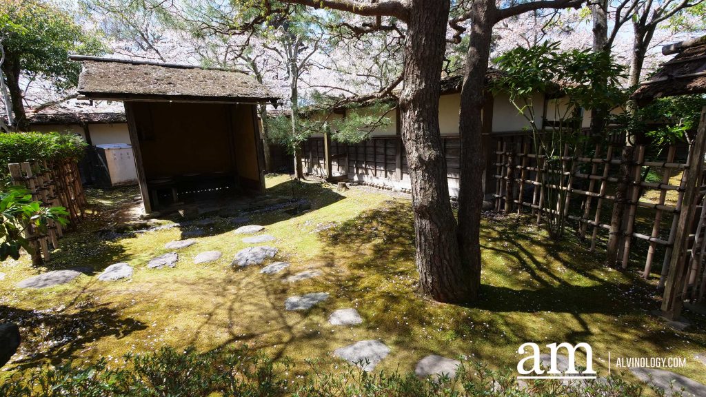 Tohoku, Japan: A Checklist of Hidden Gems to Visit During Cherry Blossom Season Tohoku, Japan: A Checklist of Hidden Gems to Visit During Cherry Blossom Season - Alvinology