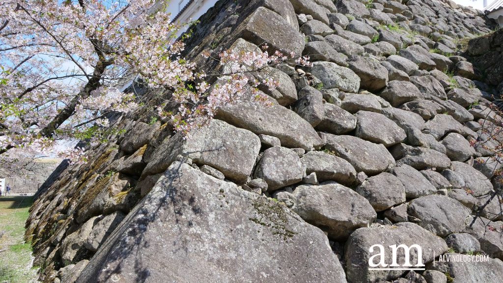 Tohoku, Japan: A Checklist of Hidden Gems to Visit During Cherry Blossom Season Tohoku, Japan: A Checklist of Hidden Gems to Visit During Cherry Blossom Season - Alvinology