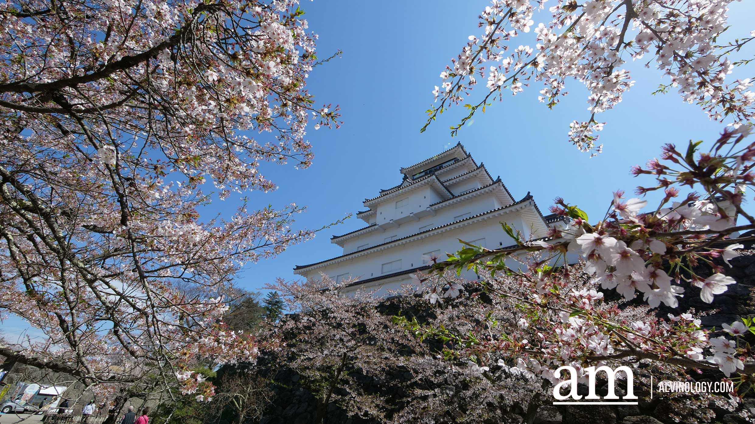 Tohoku, Japan: A Checklist of Hidden Gems to Visit During Cherry Blossom Season Tohoku, Japan: A Checklist of Hidden Gems to Visit During Cherry Blossom Season - Alvinology